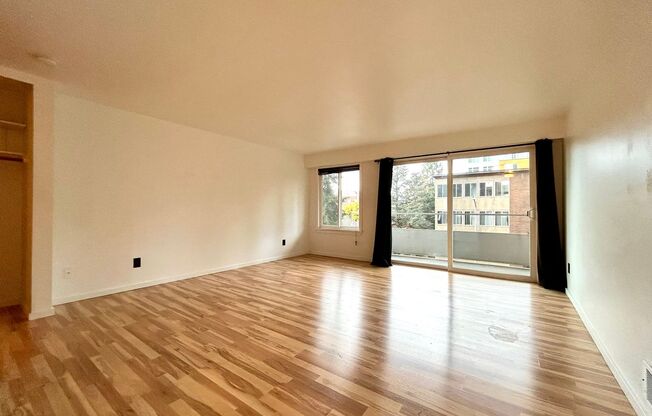 Studio, 1 bath, 464 sqft, $1,495, Unit 310