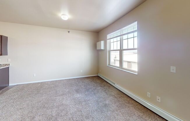 Studio, 1 bath, 600 sqft, $895, Unit 1227-305