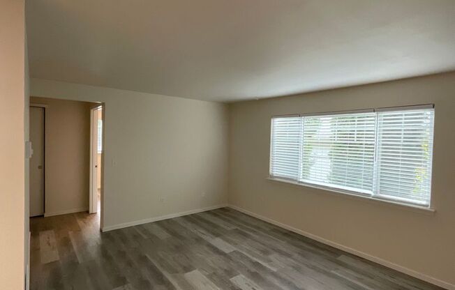 1 bed, 1 bath, $1,250, Unit B5