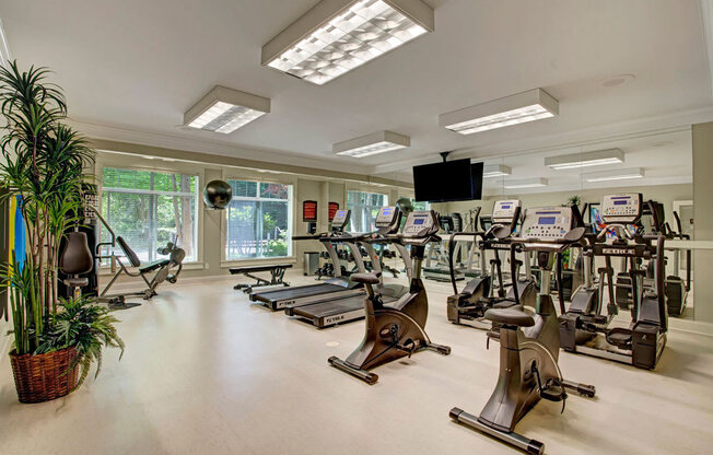 A well-equipped fitness center here at Portsmith featuring rows of cardio machines including treadmills, stationary bikes, and ellipticals, with mirrored walls, large windows providing natural light, light-colored flooring, overhead panel lighting, and space for strength training in a clean, modern workout environment.