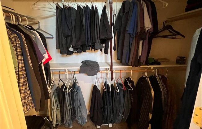 1841 Zurlo Way - Charming 3BR/2BA Home with Garage + Backyard - Available Now!