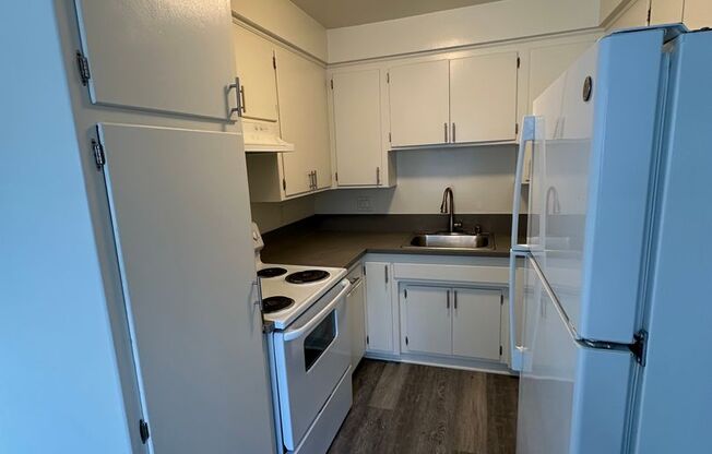 1 bed, 1 bath, 700 sqft, $2,095, Unit 1