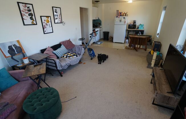 1 bed, 1 bath, $1,095, Unit 1B