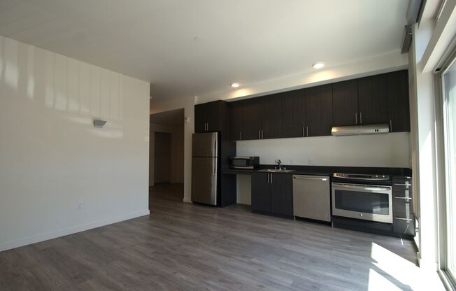 Studio, 1 bath, 521 sqft, $1,351, Unit 305IQ