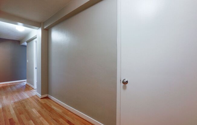 1 bed, 1 bath, 550 sqft, $1,350, Unit 206