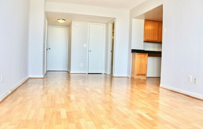 Studio, 1 bath, 454 sqft, $1,875, Unit 1007
