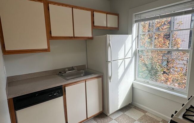 Studio, 1 bath, 400 sqft, $875, Unit 301