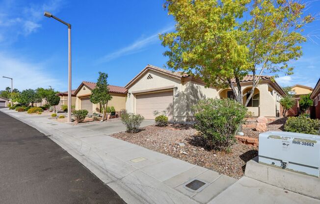Summerlin Vistas One Story Beauty
