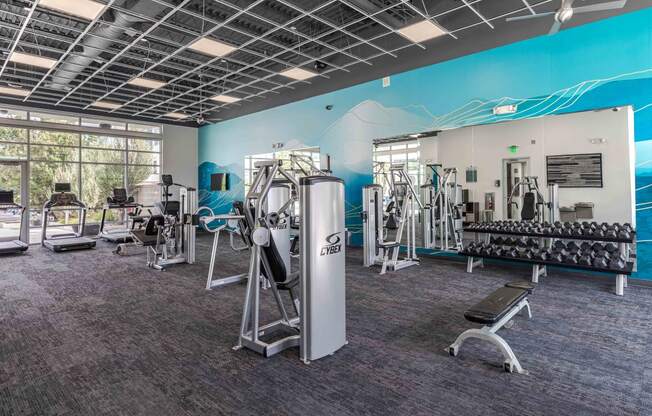 a gym with weights and cardio equipment and a wall with a mural of a mountain