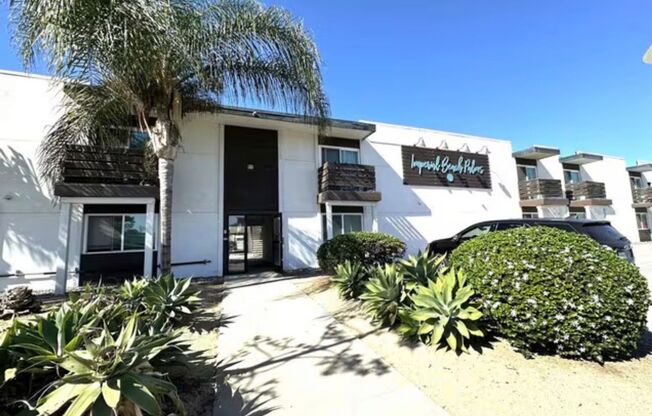 Imperial Beach Palms