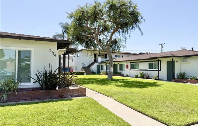 Ball - Juno - 2132  - 2134