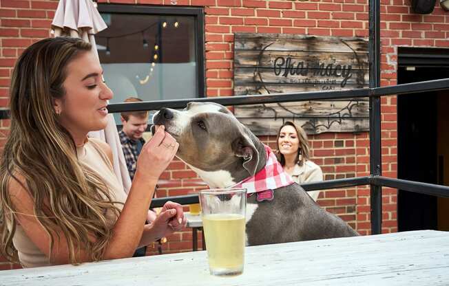 Take your pets to the outdoor areas at the local Pharmacy Bottle + Beverage near Novel Cary