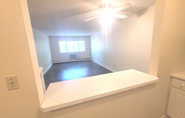 1 bed, 1 bath, $1,195, Unit 215
