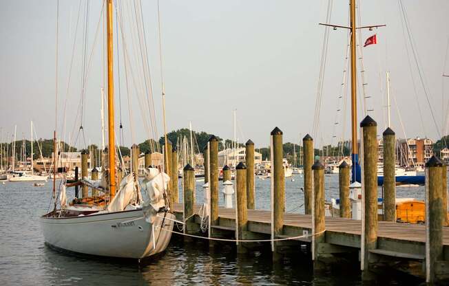 Photo of neighborhood