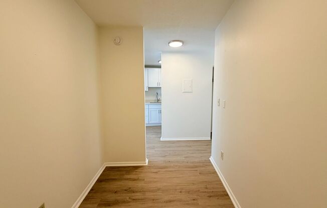 Studio, 1 bath, 534 sqft, $1,550, Unit 305