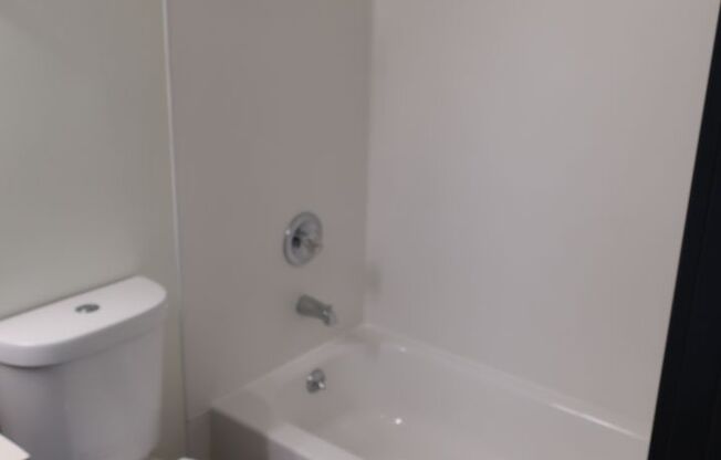 1 bed, 1 bath, $1,695, Unit 308