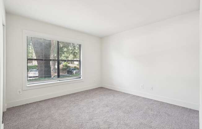 A spacious bedroom with a window and carpeted floor.