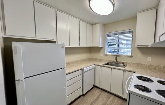1 bed, 1 bath, 700 sqft, $1,500, Unit 85