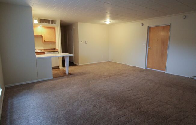 Studio, 1 bath, 520 sqft, $850, Unit 107