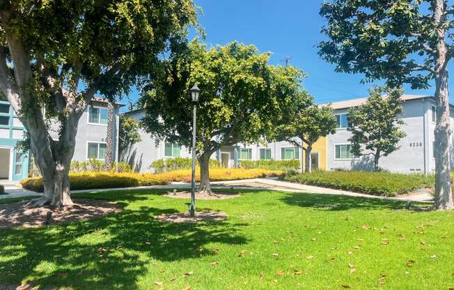 a park with grass and trees in front of houses