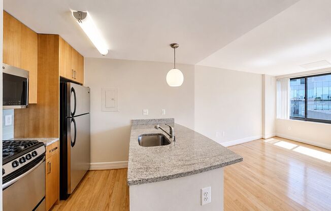 Studio, 1 bath, 460 sqft, $2,900, Unit 0607