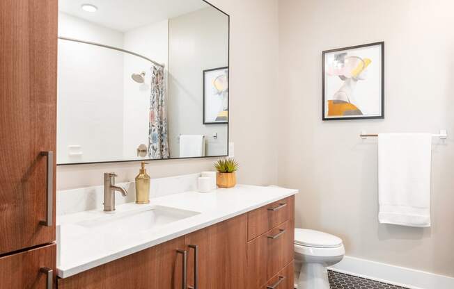 a bathroom with a sink and a mirror and a toilet