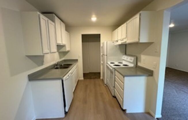 1 bed, 1 bath, 800 sqft, $1,345