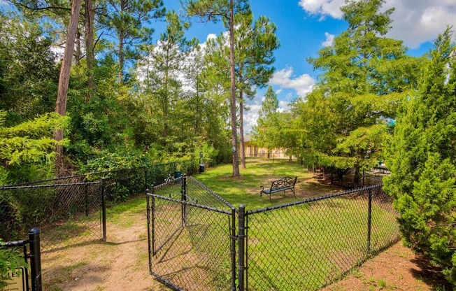 Tattersall Village Apartments in Hinesville Georgia photo of dog park