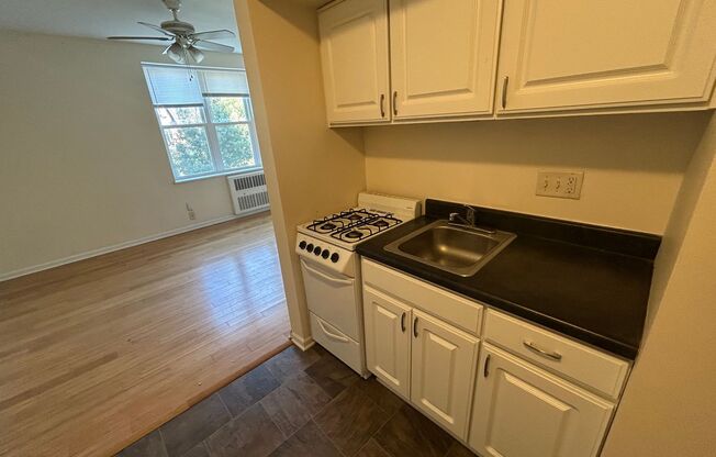 Studio, 1 bath, $750, Unit 203