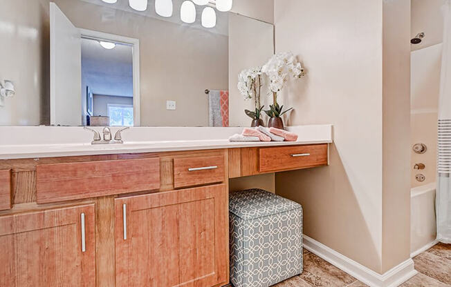 Connected Bathroom in Apartment