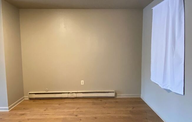 1 bed, 1 bath, $1,060, Unit Apt 1