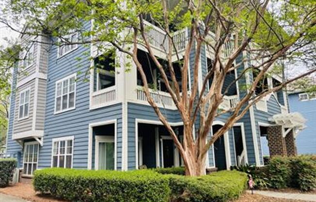 Charming 2BR/2BA Condo in Dilworth/South End with a Pool!