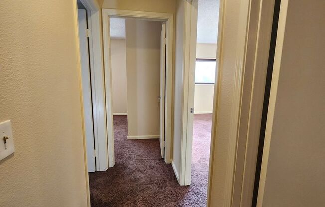 3 beds, 2 baths, $3,000, Unit APARTMENT 1