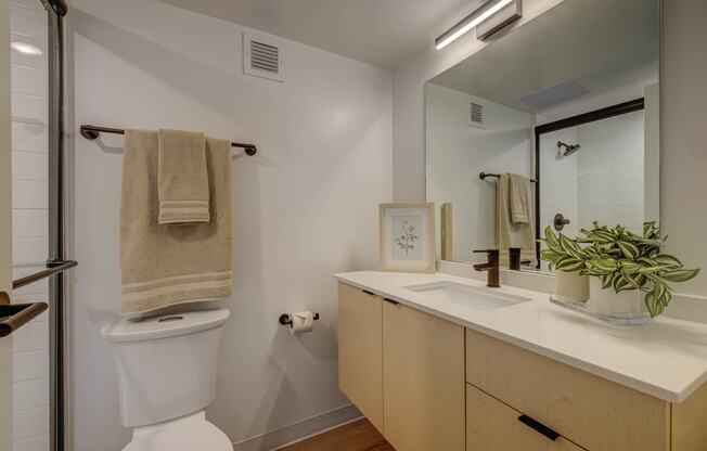 Bathroom with Quartz Countertops