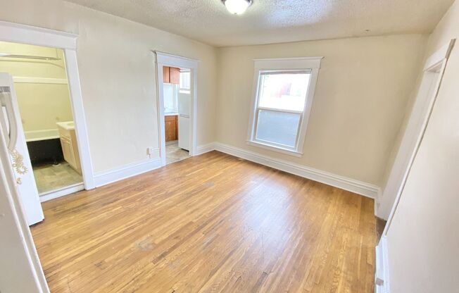 1 bed, 1 bath, 500 sqft, $1,495, Unit 203