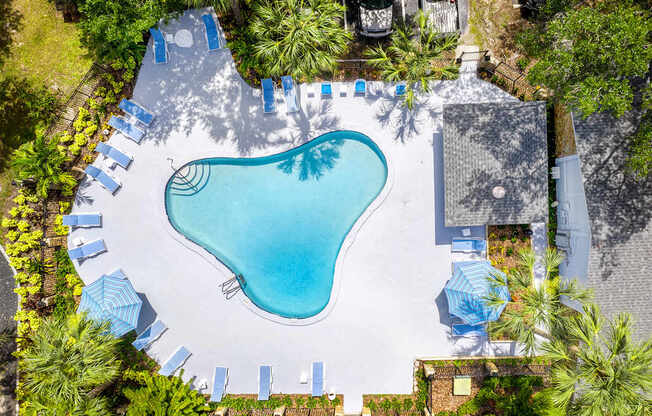 An aerial view of a swimming pool surrounded by palm trees and lounge chairs.