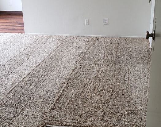 2 beds, 2 baths, 980 sqft, $2,125, Unit 215