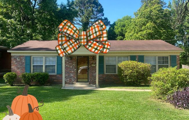 3-Bedroom  cutie ! APPLY today at All3Realty.com