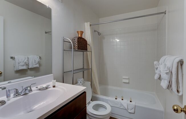 1 bed, 1 bath, 600 sqft, $1,599, Unit 405
