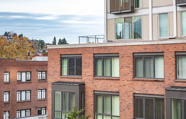 Studio, 1 bath, 350 sqft, $1,500, Unit 212