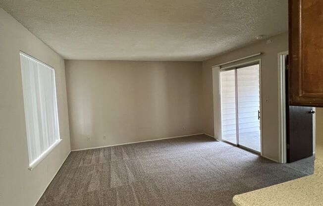 1 bed, 1 bath, 495 sqft, $1,150, Unit 202