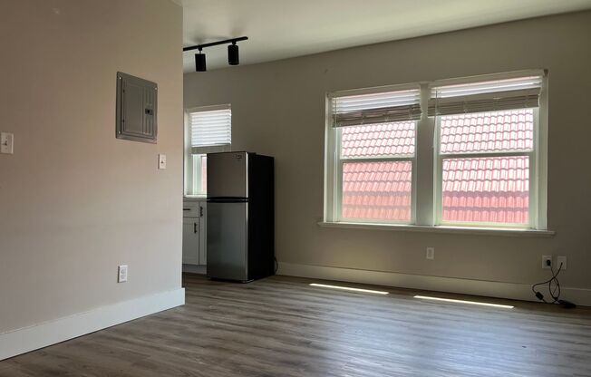 Studio, 1 bath, 300 sqft, $1,100, Unit 1317-6