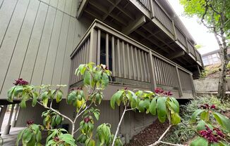 Charming 1Bd + 1Ba Condo in West Haven-Sylvan! Community Pool, Sauna, Hot Tub, Fitness Center and Laundry!!