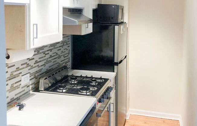 1 bed, 1 bath, 350 sqft, $1,595, Unit 2520-B10