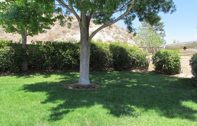 Gorgeous Private  Townhome on Cul-de-Sac--small yard and Patio!  Over 1800 sq ft