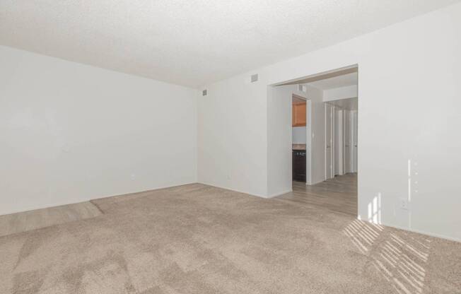 A room with a carpeted floor and a doorway leading to another room.