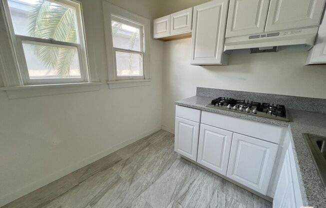 Studio, 1 bath, 450 sqft, $1,450, Unit 206