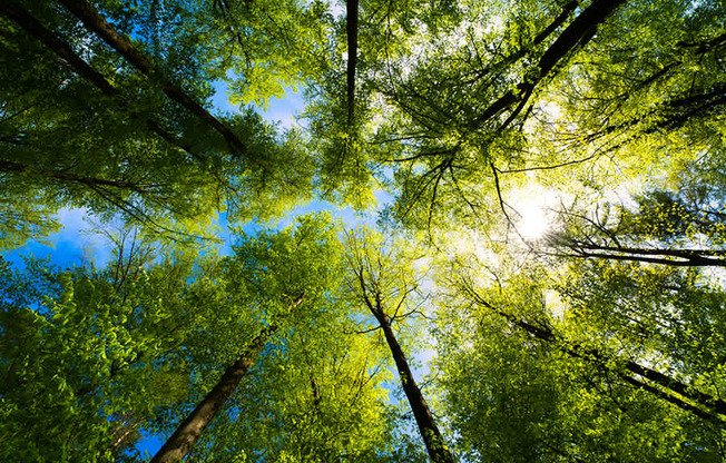 Velo Forest Hills Apartments - Jamaica Plain apartments in Boston - close to Cambridge