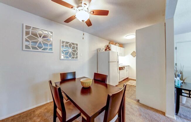 Gallery Photo 11