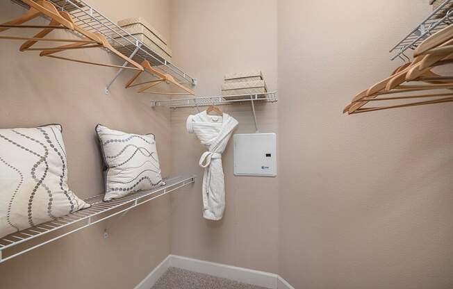 Spacious walk-in closets - Monterra Las Colinas Apartments